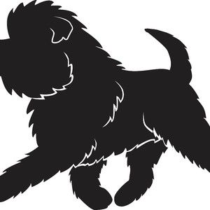 Meet your Posher, Sally